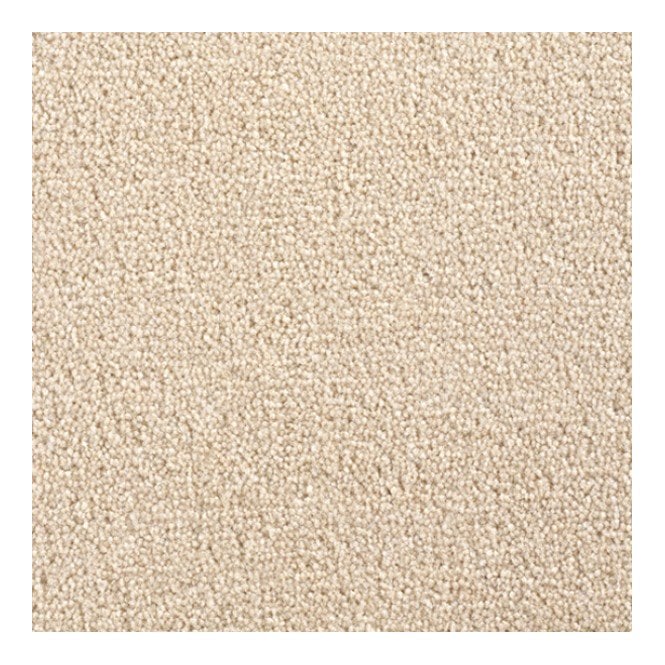 Cavalier Carpets Cosmopolitan Supreme 40oz