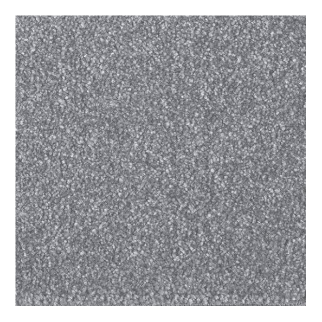 Cavalier Carpets Stain-less Distinctions 60oz Imperial