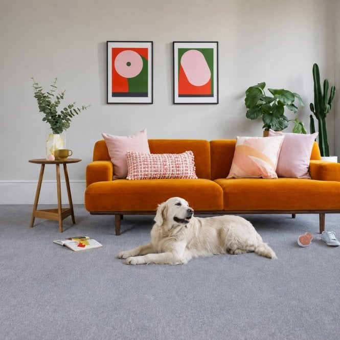 Cormar Carpets Apollo Plus