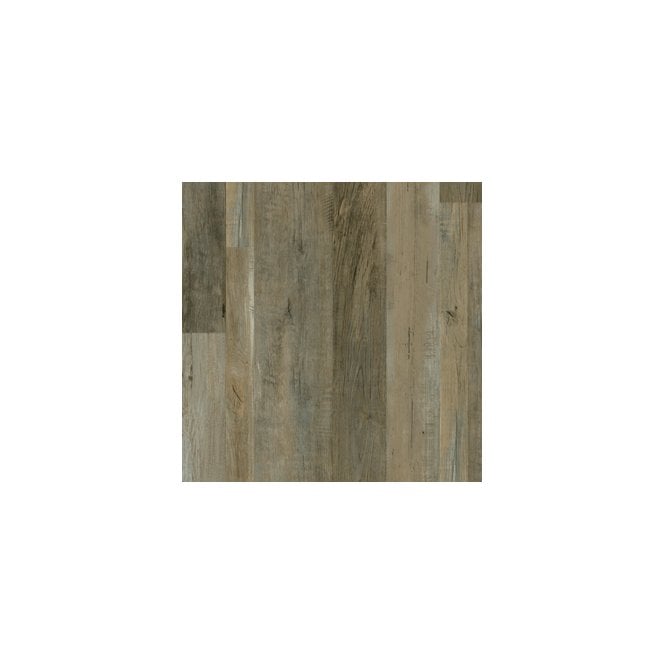 Lifestyle Floors Colosseum Painted Oak