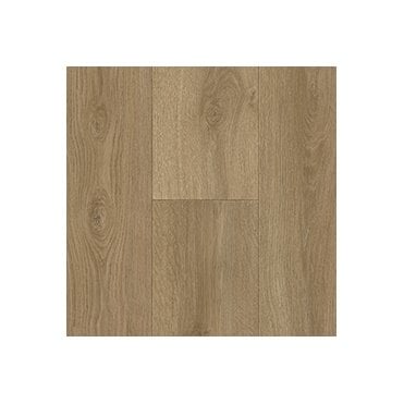 Novus Nola 556