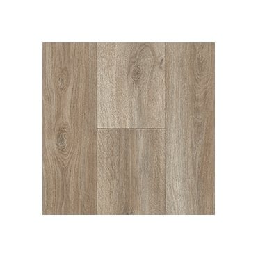 Novus Nola 582
