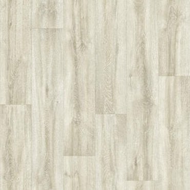 TEXSTAR (2017) Apunara Oak White