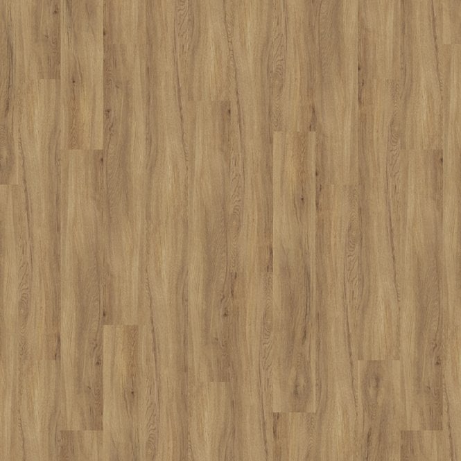 TLC  Massimo Authentic Oak PLK5262