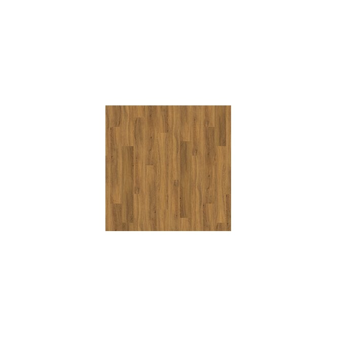 TLC  Massimo Golden Oak PLK5266