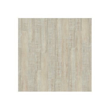 TLC Massimo New England PLK5261