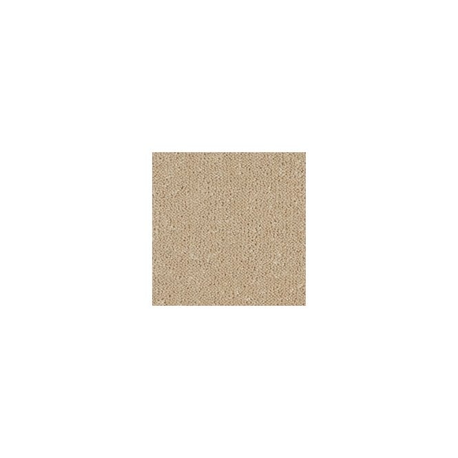 Westex Carpets Ultima Twist Penultima 3.66M Wide